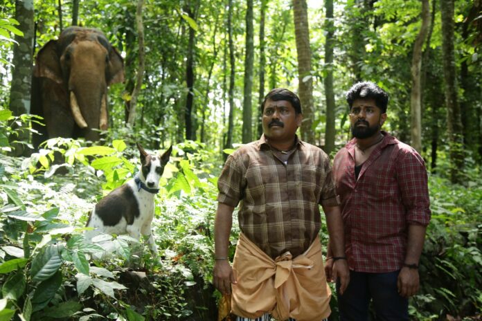 alangu (1)