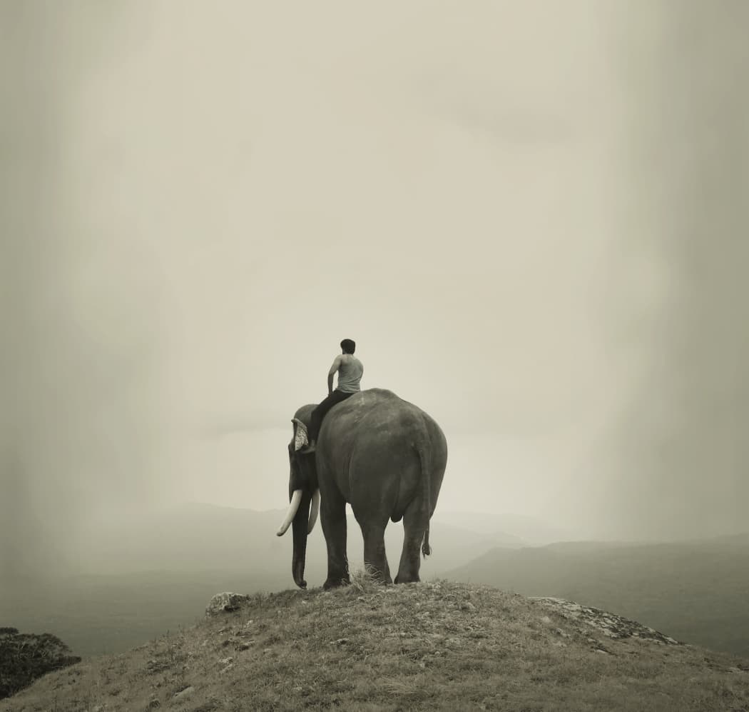 WhatsApp Image 2025-09-15 at 6.30.19 PM